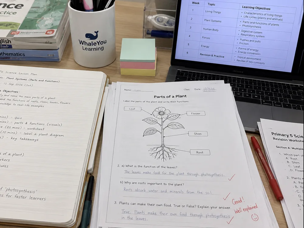 Lesson planning materials at WhaleYou Learning